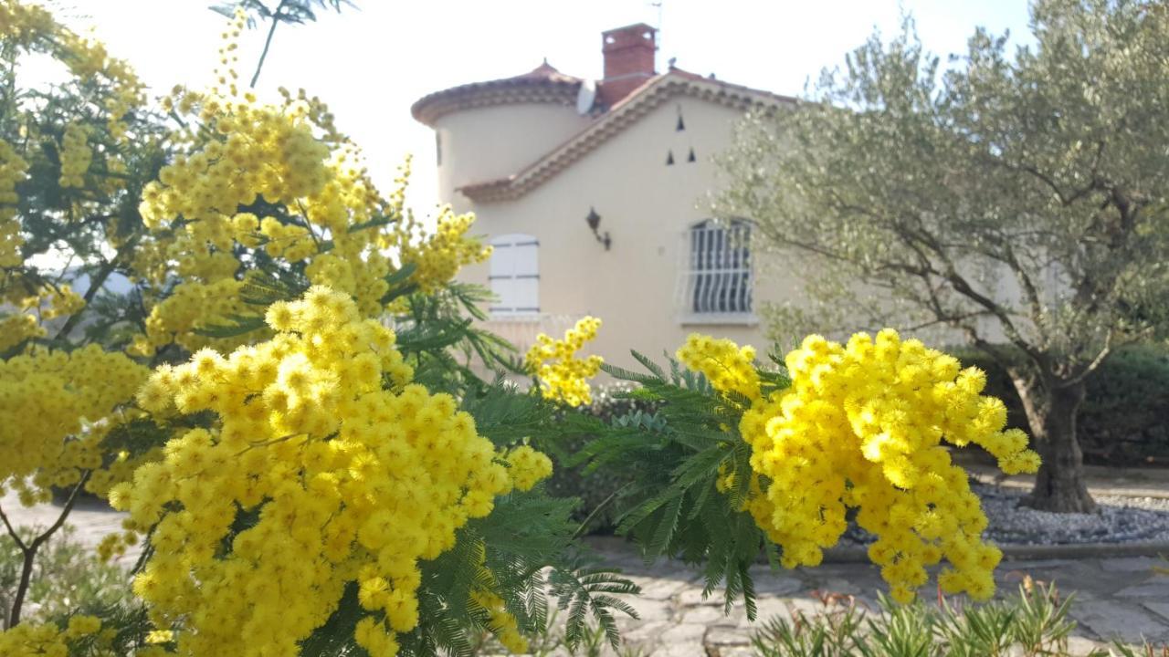 Le Relais Fleuri Hotell Alès Exteriör bild